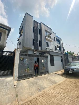 Relatively New 2 Bedeooms Flat, Off Goodluck Street, Ori-oke, Ogudu, Lagos, Flat / Apartment for Rent