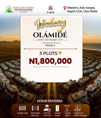 Agricultural Farm Land, Wasimi-ado Awaye, Oyo State, Olamide Agro and Smart City Phase 2, Ibadan, Oyo, Mixed-use Land for Sale