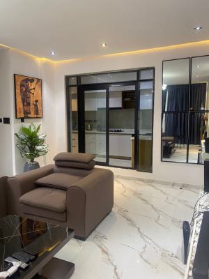 2 Bedroom Fully-furnished Serviced Apartment, Ilasan, Lekki, Lagos, Flat / Apartment for Sale