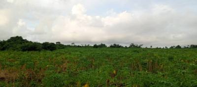 Farmland Good for Agriculture, Green Wealth City Farm After Epe Toll Gate Isiwo, Epe, Lagos, Land for Sale