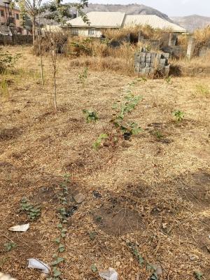1,200 Sqm Land with an Old Building, Asokoro District, Abuja, Residential Land for Sale