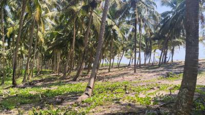 Certificate of Occupancy ( C of O), Beachfront Estate and Resort, Ode Omi, Ibeju Lekki, Lagos, Residential Land for Sale