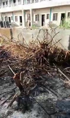 300 Sqm Land Size of Land at Greenville Estate, Badore, Ajah, Lagos, Land for Sale