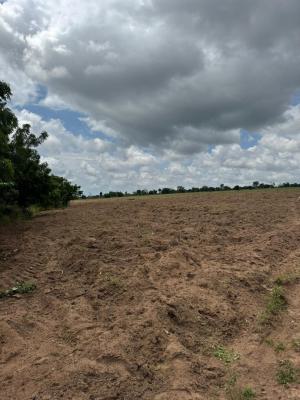 Own Verified Farm Land in Strategic Location, Ofuape Village, Along Igbo Ora Road, Abeokuta South, Ogun, Industrial Land for Sale