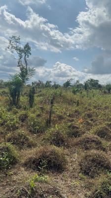Farm Land in a University Environment with Survey/deed, Alabata,funnab, Abeokuta South, Ogun, Industrial Land for Sale