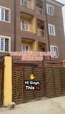 1 Bedroom / Mini Flat, Surulere, Lagos, Flat / Apartment for Rent