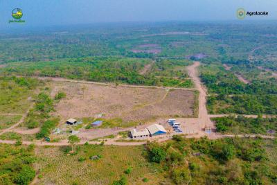 High Revenue Farmland in Funnab Environment with Survey /deed, Earn Up to 2m in 4 Months in Tomato Farm at Ariyeke,odeda Lga ., Abeokuta South, Ogun, Industrial Land for Sale