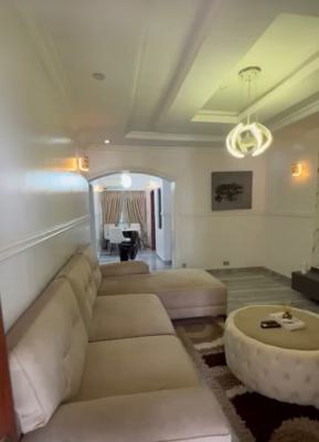 Spacious 2 Bedroom Apartment, Ikate, Surulere, Lagos, Flat / Apartment for Rent