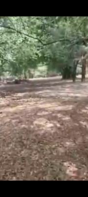 Prime Mixed Use Land at Oregun ,ikeja Lagos ., Billings Way Oregun Ikeja Lagos, Oregun, Ikeja, Lagos, Mixed-use Land for Sale