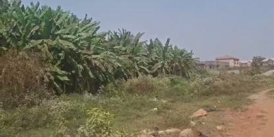 1,533 Sqm of Land, Gudu, Abuja, Residential Land Joint Venture