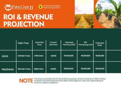 Plam Crest Lands, Imeko Afon, Abeokuta North, Ogun, Commercial Land for Sale