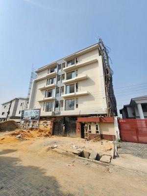 Luxury 2 Bedroom Apartment with Bq, Gym, Pool, Lekki Phase 1, Lekki, Lagos, Flat / Apartment for Sale