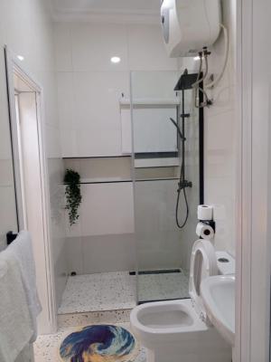 Cozy 2 Bedroom Apartment Available, Lekki Phase 1, Lekki, Lagos, Flat / Apartment for Rent