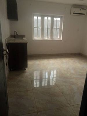 Spacious Fully Serviced 1 Bedroom Apartment with Excellent Privacy, Oladimeji Alo Street, Lekki, Lagos, Mini Flat (room and Parlour) for Rent