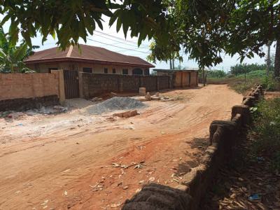 Land Measured 60ft By 100ft, Obe Sapele Road Benin City, Benin, Oredo, Edo, Residential Land for Sale