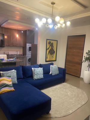 Luxury 2 Bedroom Flats with Excellent Touch, Sinari Daranijo, Victoria Island (vi), Lagos, Flat / Apartment for Rent