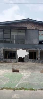 Luxury Commercial Building 5 Bedroom Fully Detached House with 3 Room Bq, Victoria Island (vi), Lagos, Detached Duplex for Rent