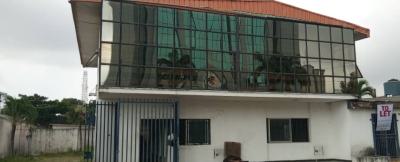 5 Bedroom Detached House with 3 Room Bq on Over 800m2, Victoria Island (vi), Lagos, Detached Duplex for Rent