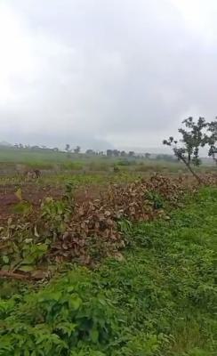 100 Hectares of Land, Guzape District, Abuja, Mixed-use Land for Sale
