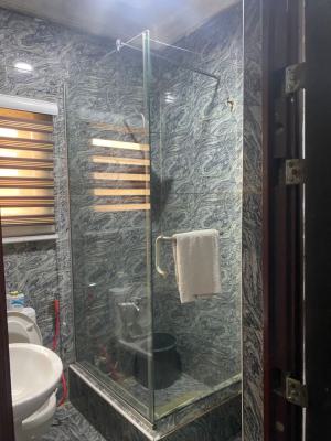 Miniflat, Opebi, Ikeja, Lagos, Mini Flat (room and Parlour) Short Let