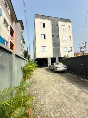 Two Bedroom Apartment, Ikate, Lekki, Lagos, Flat / Apartment for Rent