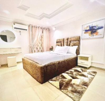 Clean Fully Furnished 2 Bedroon Flat, with Ac,inverter & Generator, Maitama Main, Maitama District, Abuja, Flat / Apartment for Rent