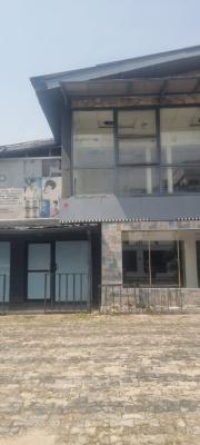 Commercial Building with Spacious Car Park, for Banks, Restaurants, Bar, Off Sanusi Fafunwa, Victoria Island (vi), Lagos, Detached Duplex for Rent