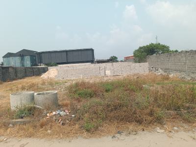 900 Sqm in a Good Location with Cofo, Abijo Gra, Abijo, Lekki, Lagos, Land for Sale