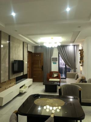 a Well Furnished 2bedroom Apartment, Ikate Lekki, Ikate Elegushi, Lekki, Lagos, Flat / Apartment for Rent