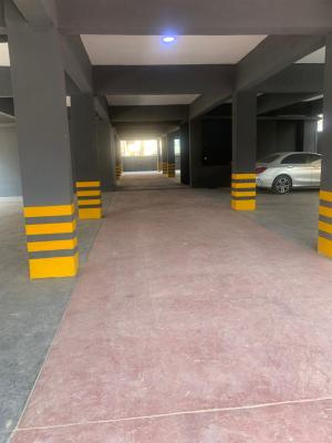 Newly Two Bedroom Apartment with Pool and Ac, Ikate, Lekki, Lagos, Flat / Apartment for Rent