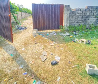 Commercial 2500sqm Dry Land Directly Facing The Major Express, Okun-ajah, Ajah, Lagos, Commercial Land for Rent