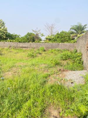 Half Plot of Land Measuring 300qm, Alashela Estate Ogombo Ajah, Ajah, Lagos, Residential Land for Sale