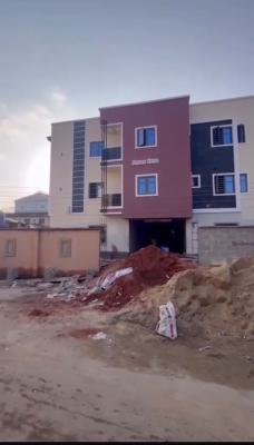 Newly Built Spacious Mini Flat, Off Pedro Road, Pedro, Gbagada, Lagos, Mini Flat (room and Parlour) for Rent