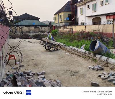 704m2 Land, Off Amuwo Odofin, Okota, Isolo, Lagos, Residential Land for Sale