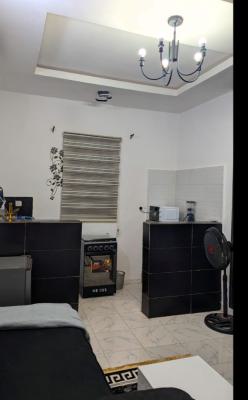 Furnished Mini Flat, Ikate, Lekki, Lagos, Flat / Apartment for Rent