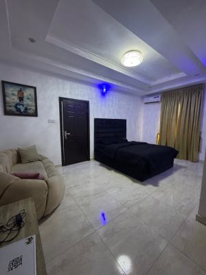 Luxury 1 Bedroom Apartment, Orchid Road, Lekki, Lagos, Self Contain (single Rooms) for Rent