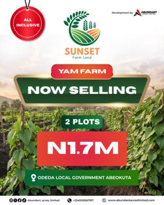 Yam Farm Land, Odeda Local Government, Abeokuta North, Ogun, Commercial Land for Sale