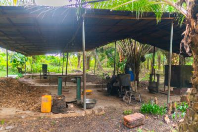 Oil Gold Farm Land, Odeda Local Government, Abeokuta North, Ogun, Commercial Land for Sale