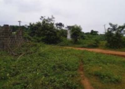 300 Acres of Land, Sagamu Interchange, Km 46, Ogun, Land for Sale