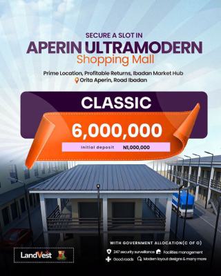 Owning a Shop in a Prime Business Location, Orita Aperin Road, Ibadan, Oyo, Shop for Sale