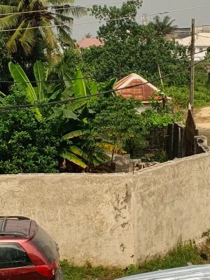 Dry Land Facing The Lekki Epe Expressway with Massive Set Back Olokonl, Olokonla, Ajah, Lagos, Commercial Land for Rent