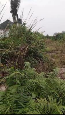 Distress 665 Square Meters Land Measuring, Genesis Irabokor, Awoyaya, Ibeju Lekki, Lagos, Mixed-use Land for Sale