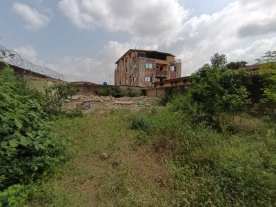 Full Plot of Land on a Tarred Road I, Alimosho, Ipaja, Lagos, Mixed-use Land for Sale