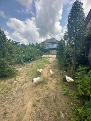 Land Available at Nicon Town, Nicon Town, Nicon Town, Lekki, Lagos, Residential Land for Sale