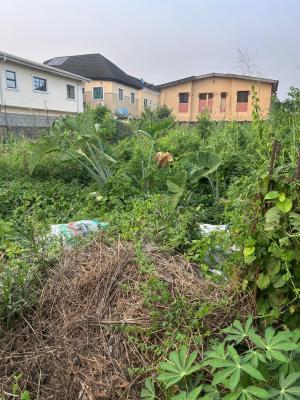 Full Plot of Land Located in Federal Peace, Federal Peace Estate, Isheri Olofin, Alimosho, Lagos, Residential Land for Sale