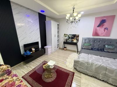 a Standard Furnished Flat Up for Grabs, Guzape District, Abuja, Flat / Apartment for Rent