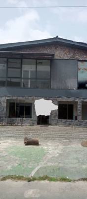 Spacious Standard 5 Bedroom Fully Detached Duplex, Victoria Island (vi), Lagos, Detached Duplex for Rent