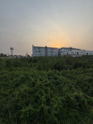 1013sqm Bare Land, Chevron, Lekki, Lagos, Land for Sale