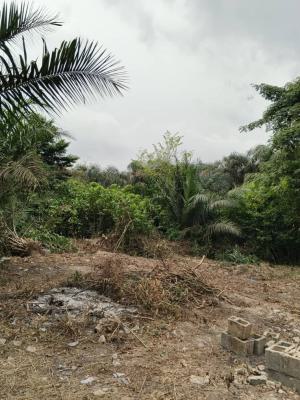 5 Acres of Dry Up Land in a Developing Area, Pakuro, Via Lotto Bus Stop, Off Lagos Ibadan Expressway, Mowe Town, Ogun, Residential Land for Sale