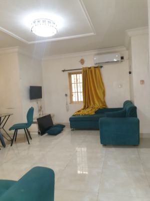 Spacious Miniflat, Off Spg Road Behind Ebeano Supermarket Ologolo, Surulere, Lagos, Mini Flat (room and Parlour) for Rent